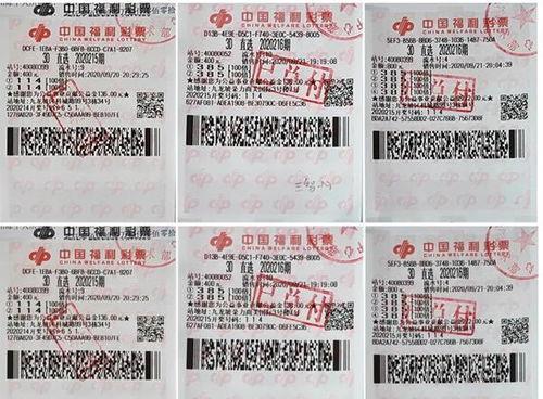 福彩3d字謎福彩3d開機(jī)號100,揭秘數(shù)字背后的神秘力量